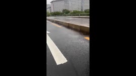 Local rescues stray kitten from storm and takes it home