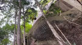 Climber's heart-stopping backwards fall down Japanese mountain