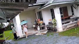 Unlucky black cat crashes through ceiling during rainstorm in Thailand