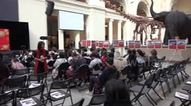 Chicago Field Museum hosts Chinese Culture Day