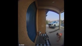 Neighborhood Boy Steals a Slice of Pizza