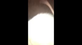 Big Suze the big pet rat is a delightful hit