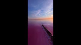 Train Travels Through Picturesque Pink Water