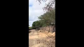 Passando por uma bela estrada de chão no interior da Bahia