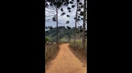Caminhado pelo interior da minha Bahia que coisa mais linda essa paisagem