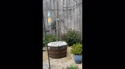 temp