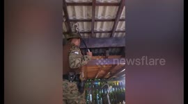 Screaming diners flee as boa constrictor slithers around restaurant's ceiling in Brazil