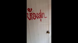 Dozens of huge geckos gather on local's bathroom wall
