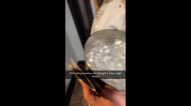 Girl mistakes the panic button in a hotel room for the light switch *Hilarious*