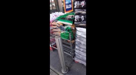 Pigeon gets his beak on the bird seed stock outside Aldi *Hilarious*