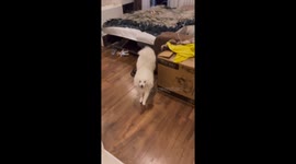 Spitz Nikka's hilarious bathtub dash after messy moment