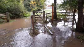 Watch Macclesfield river flood as Storm Babet deluge continues