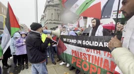 Pro-Palestinian protesters rally outside Leinster House in Dublin, Ireland