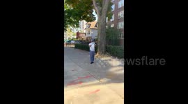 'This isn't Palestine' USPS driver and Jewish construction workers get in heated confrontation and driver is called anti-Semite