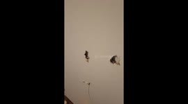 Aftermath of Upset Gamer Ex-Boyfriend After Being Removed From Wi-Fi