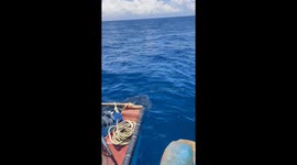 Fisherman meets a very large whale shark.