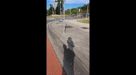 Duckling Diversion