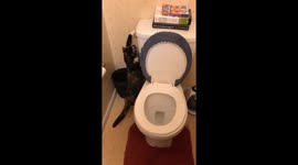 She Loves To Watch The Toilet Flush