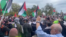 Man arrested at Chicago Pro-Palestine, Anti-Israel protest in Chicago