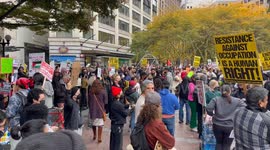 Seattle Palestine Street Protest