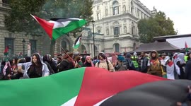 Children among protesters waving huge flag of Palestine at pro-Palestinian march in central London