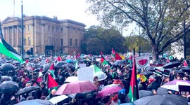 Hyde Park Corner Large London Palestinian Crowd and Huge Palestinian flag being carried 4K