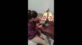Dog Boops Conduct Electricity to Turn On Lamp