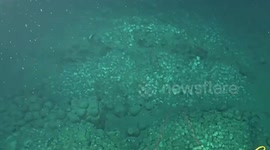 Ming Dynasty porcelain found in ship wreck in South China Sea