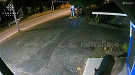 Black bear walks into petrol station and steals packet of gummy bears