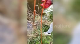 Magnet fishermen spark bomb scare after pulling grenade from canal