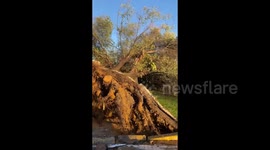 Storm Bernard leaves trail of destruction across southern Spain