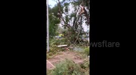 Trees litter the streets as Storm Bernard batters southern Spain
