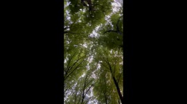 'Stupid' flip puts MTB enthusiast out of action for 6 weeks