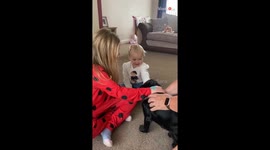 Adorable toddler wears her elation on her sleeve while meeting family doggo