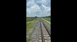 Train quack! Flock of ducks block railway line causing delay