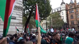 Central London flooded with pro-Palestine protesters for the second weekend in a row