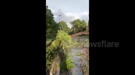 Spain: Storm Bernard Leaves Damage Across Southern Regions 3