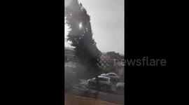 Storm Bernard: Camera captures the moment a tree fell in high winds in Spain