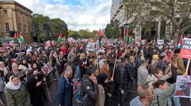 Thousands of Pro-Palestinian protesters in central London with flags and placards against Israeli strikes on Gaza