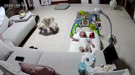 Cat Comforts Crying Baby