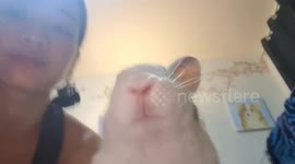 They Say Pets Look Like Their Owners