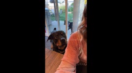 Mother It Is Time For Our Walk