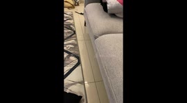 Baby Wiggles Way Under Sofa