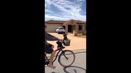 Mini Dachshund Cruises With Dad in a Bike Basket