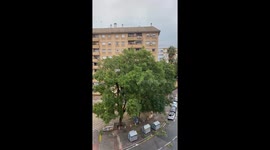 Storm Sends Tree Toppling Onto Car