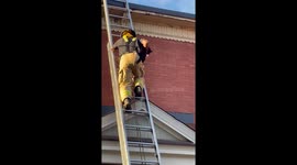 Cat Jumps Out of Firefighter's Arms While Being Rescued