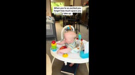 Dogs' gentle apology: Nutmeg's tail bump and baby's reaction