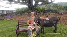 Hot stuff as Aussie firefighters pose for charity calendar - with their furry friends
