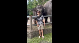 Annoyed baby elephant kicks tourist posing for pictures at zoo