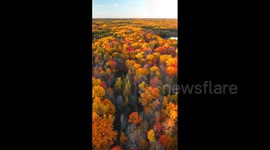 US: Autumn Foliage Spotted In Gaylord, Michigan